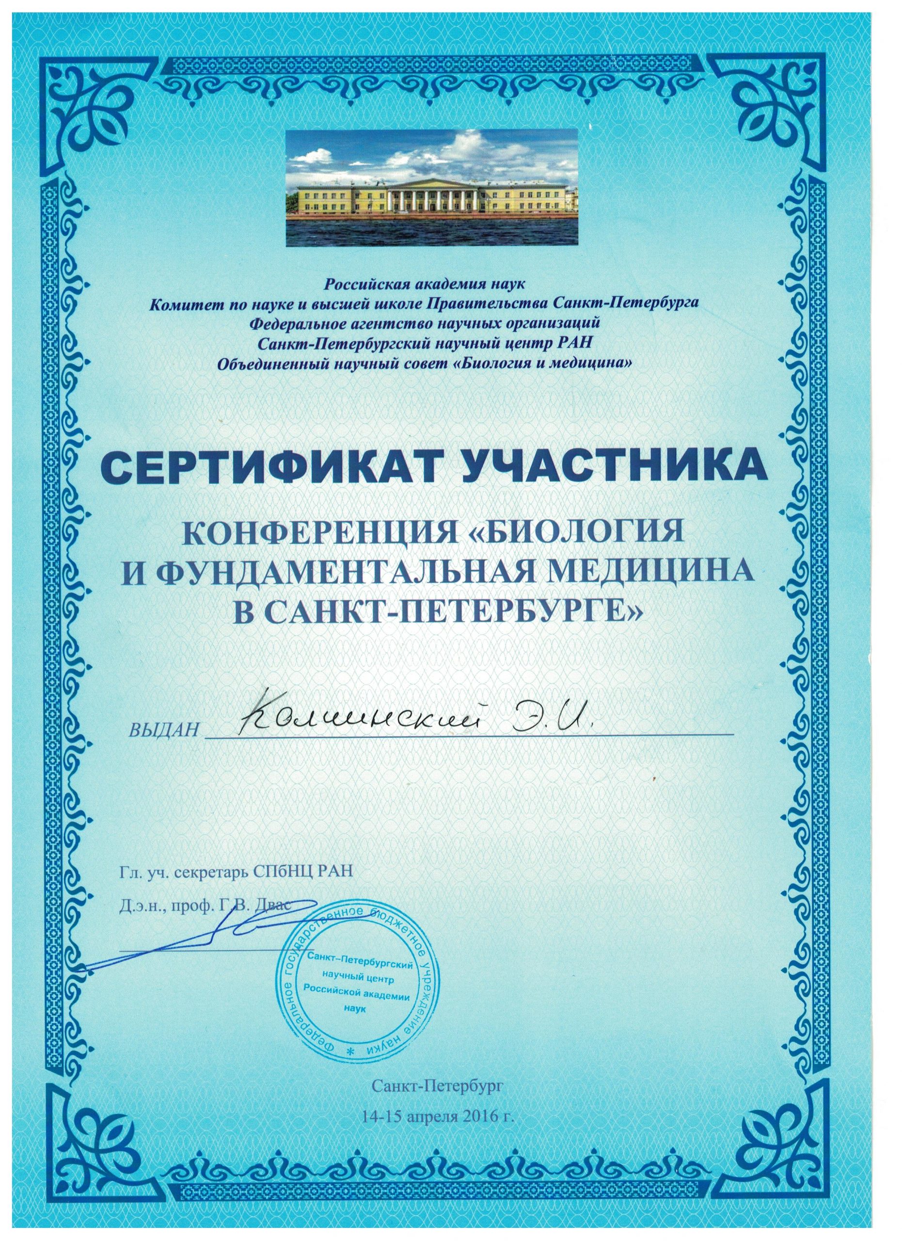 Сертификат участника конференции (2016)